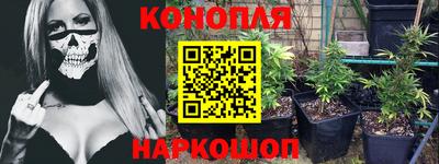 стаф Бузулук