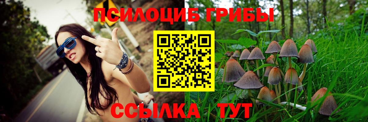 Биробиджан  Галлюциногенные грибы GOLDEN TEACHER  Галлюциногенные грибы GOLDEN TEACHER  Вход с VPN 